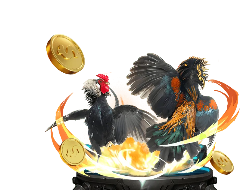 Lịch sử phát triển