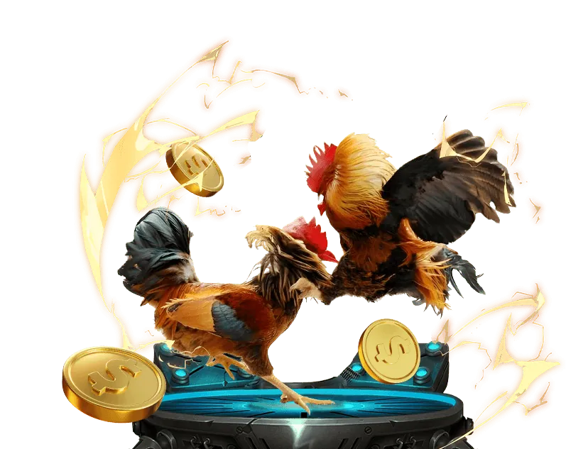 Cá cược thể thao thời gian thực